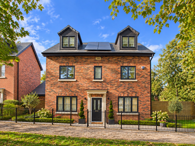 Picture 20